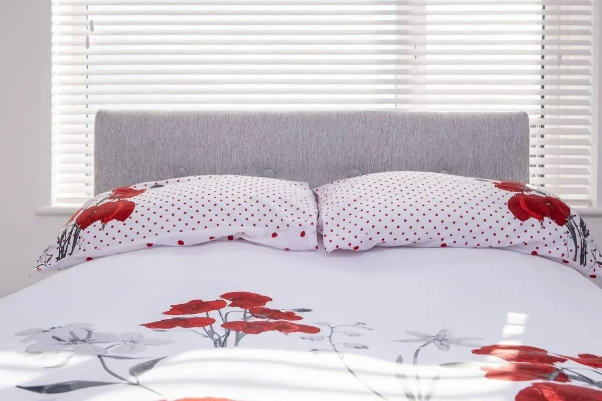 Host & Stay - Wilson Studio Brighton